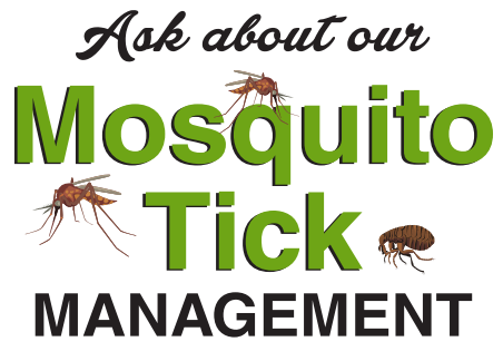 Ticks | Monroe Pest Control NWI And Chicagoland Termite And Pest ...